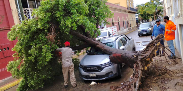 Servicios públicos realiza labores de limpieza en toda la ciudad, tras las lluvias