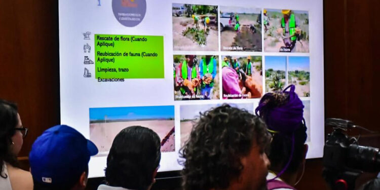 Analiza Gobierno de Mazatlán opciones para transitar del basurón a un relleno sanitario