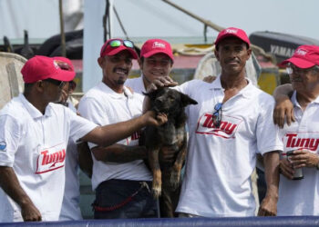 “Bella”, perrita que acompañaba a náufrago rescatado, es mexicana