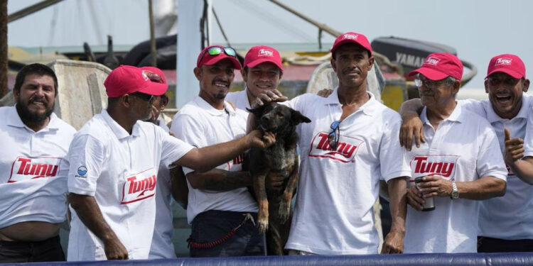 “Bella”, perrita que acompañaba a náufrago rescatado, es mexicana