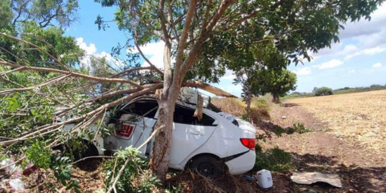 Joven pierde el control de su auto y se estrella contra árbol