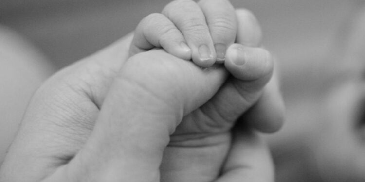 De terror: arrojan a recién nacido a la basura y perros callejeros lo devoran