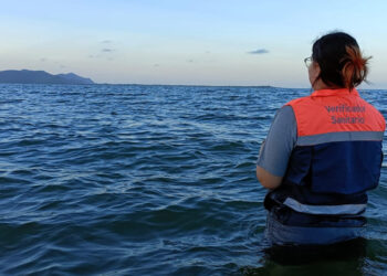 Todas las playas de Sinaloa son aptas para bañarse: COEPRISS