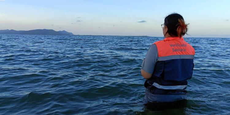Todas las playas de Sinaloa son aptas para bañarse: COEPRISS