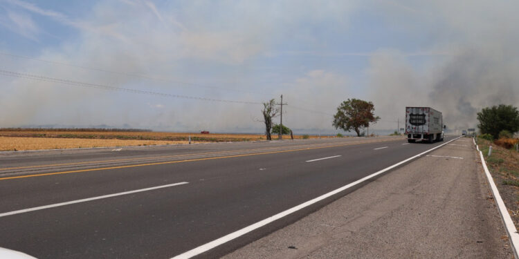 Llama SEBIDES a aplicar la Ley en materia de quema de soca