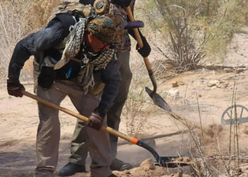 Colectivo reporta hallazgo de 15 cuerpos en fosas de Mexicali, Baja California