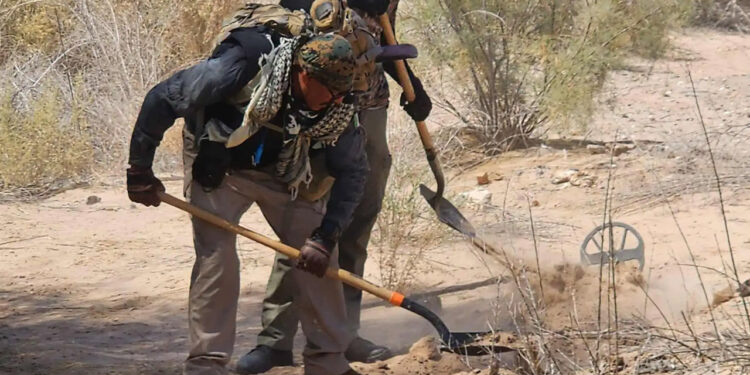 Colectivo reporta hallazgo de 15 cuerpos en fosas de Mexicali, Baja California
