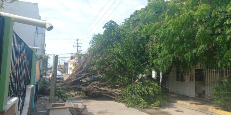 Intensa tormenta deja afectaciones fuertes en el puerto de Mazatlán