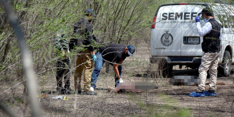 Homicidios dolosos en México disminuyen un 1.68% en primer semestre de 2023