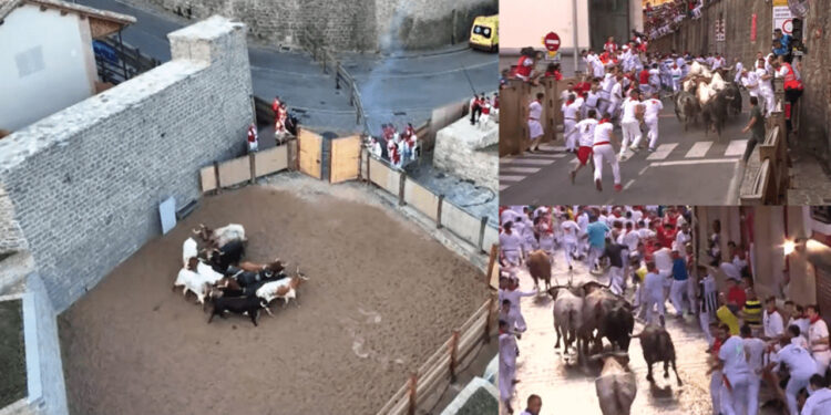 Fiestas taurinas en España dejan más de seis heridos