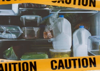 Horror en Veracruz: Hallan 32 cadáveres dentro de hieleras y refrigeradores