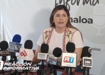 Hipócrita el señalamiento de la oposición ante el contenido de los libros de la SEP: Merary Villegas