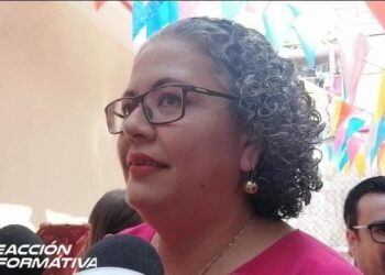 Los nuevos libros de texto abogan por una educación humanista: Domínguez Nava