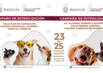 Camión esterilizador continúa recorriendo distintas colonias de Mazatlán