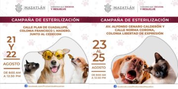 Camión esterilizador continúa recorriendo distintas colonias de Mazatlán