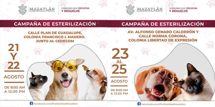 Camión esterilizador continúa recorriendo distintas colonias de Mazatlán