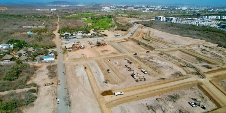 En Mazatlán no hay cumplimiento de la ley; desarrolladores construyen sin supervisión afectando la fauna, acusa CONREHABIT