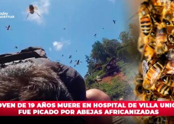 Joven de 19 años muere en Hospital de Villa Unión; fue picado por abejas africanizadas