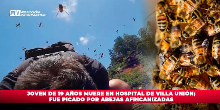 Joven de 19 años muere en Hospital de Villa Unión; fue picado por abejas africanizadas