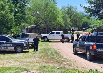 Encuentran a joven asesinado y con un narco mensaje en Sinaloa de Leyva