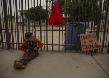 Nuevo plan de estudios de la SEP 2023 elimina grados y añade 4 nuevas materias