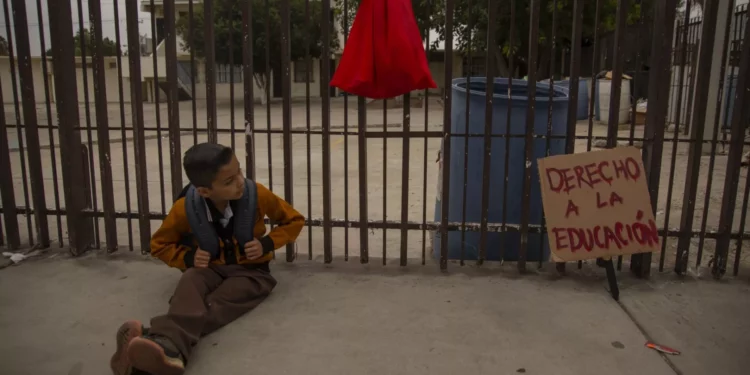 Nuevo plan de estudios de la SEP 2023 elimina grados y añade 4 nuevas materias