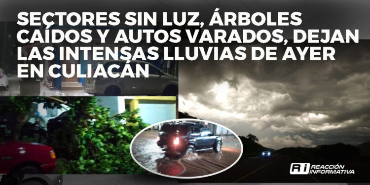Sectores sin luz, árboles caídos y autos varados dejan las intensas lluvias de ayer en Culiacán