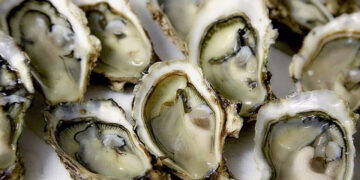 Cofepris impone veda sanitaria a mariscos de Baja California por altos niveles de saxitoxina