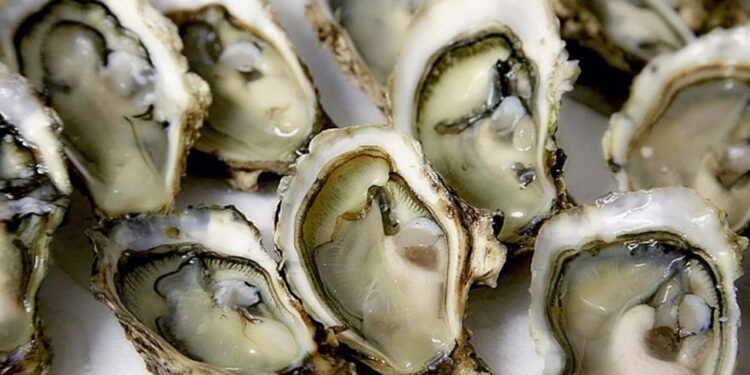 Cofepris impone veda sanitaria a mariscos de Baja California por altos niveles de saxitoxina