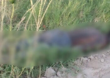 Encuentran a joven muerto en una huerta de mangos, habría sufrido un golpe de calor