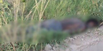 Encuentran a joven muerto en una huerta de mangos, habría sufrido un golpe de calor