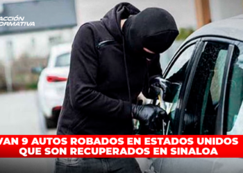 Van 9 autos robados en EU que son recuperados en Sinaloa