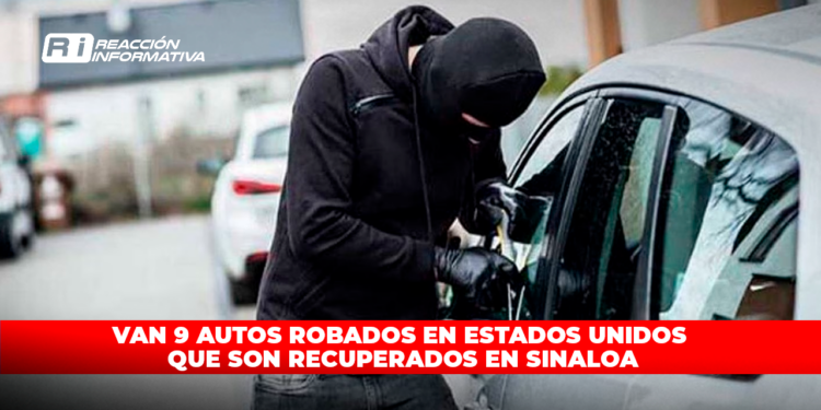 Van 9 autos robados en EU que son recuperados en Sinaloa