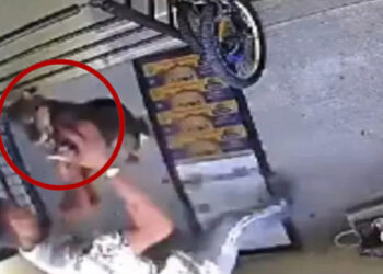 VIDEO: ¡Perro coraje! En Puebla, sujeto agrede a lomito y lo avienta de un tercer piso