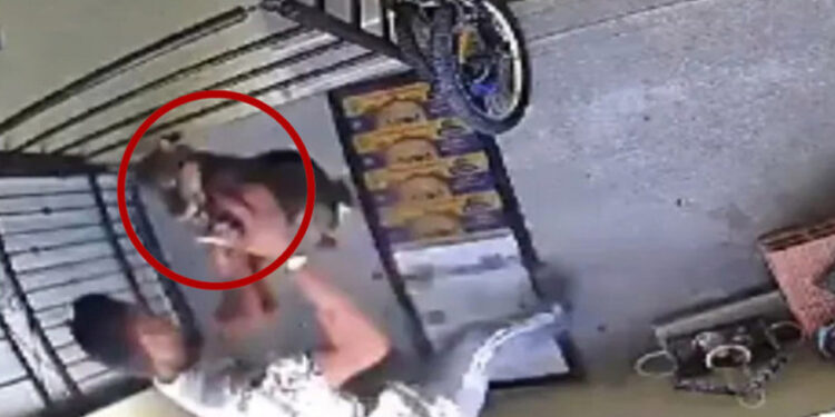 VIDEO: ¡Perro coraje! En Puebla, sujeto agrede a lomito y lo avienta de un tercer piso