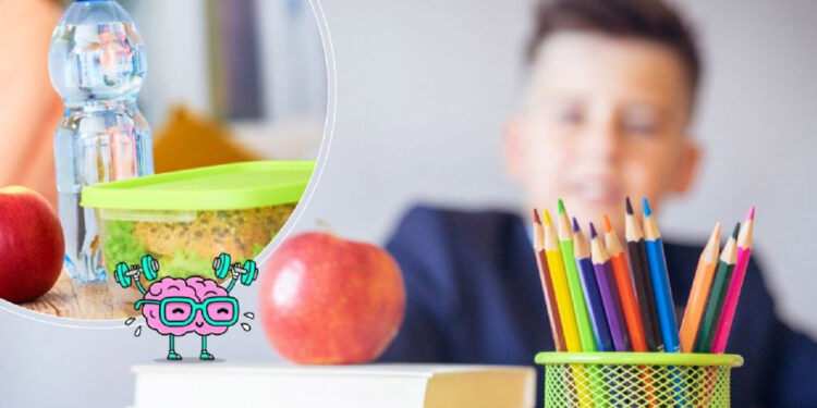 Regreso a clases: Alimentos para la buena memoria y mayor rendimiento de los estudiantes