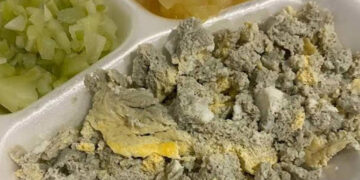 ¿Dieron a pacientes de hospital comida con gusanos? Esto sabemos