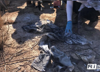 Descubren en Silao dos fosas clandestinas con 8 cuerpos