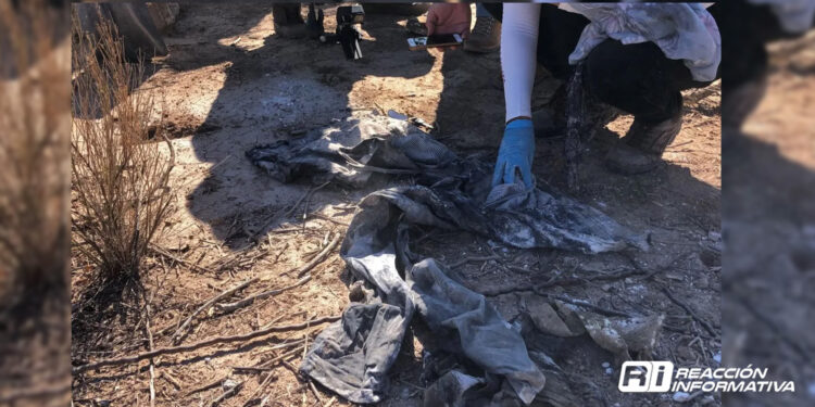 Descubren en Silao dos fosas clandestinas con 8 cuerpos