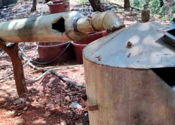 Desmantelan cinco laboratorios clandestinos de drogas sintéticas en Culiacán, Sinaloa