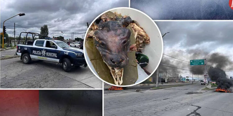 Denuncian venta de barbacoa de perro y bloquean carretera en Tizayuca