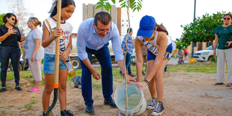 Pradera II tiene nueva área verde con más de cien árboles