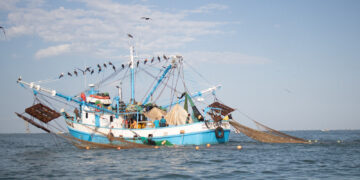 Oficializa Conapesca fechas y zonas para el levantamiento de la veda de todas las especies de camarón en litorales del océano Pacífico y Golfo de California en 2023