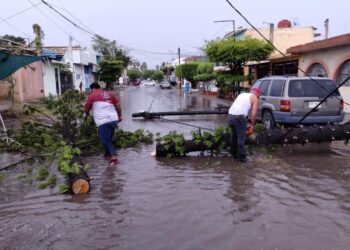Familias afectadas por lluvia recibirán apoyo de 5 mil pesos: Rocha Moya