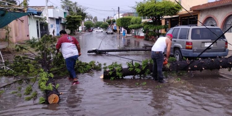 Familias afectadas por lluvia recibirán apoyo de 5 mil pesos: Rocha Moya