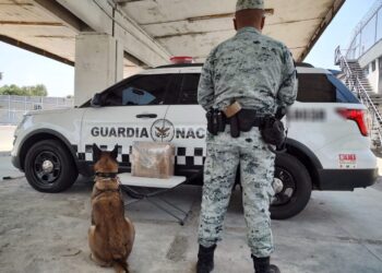 Asegura GN “cristal” enviado por paquetería rumbo a Chihuahua y Ciudad Juárez