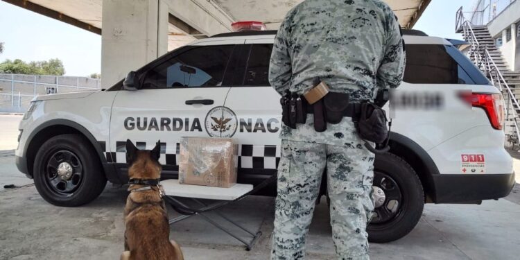 Asegura GN “cristal” enviado por paquetería rumbo a Chihuahua y Ciudad Juárez