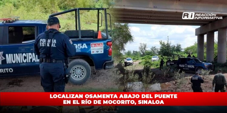 Localizan osamenta abajo del puente en el río de Mocorito, Sinaloa