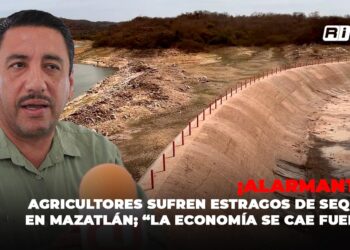 Agricultores sufren estragos de sequía en Mazatlán; “la economía se cae fuerte”