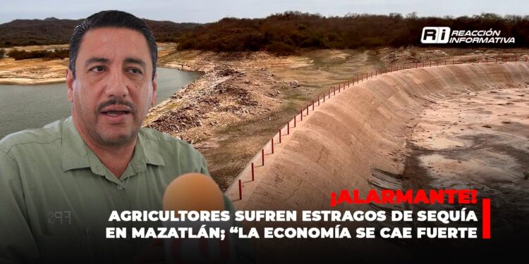 Agricultores sufren estragos de sequía en Mazatlán; “la economía se cae fuerte”